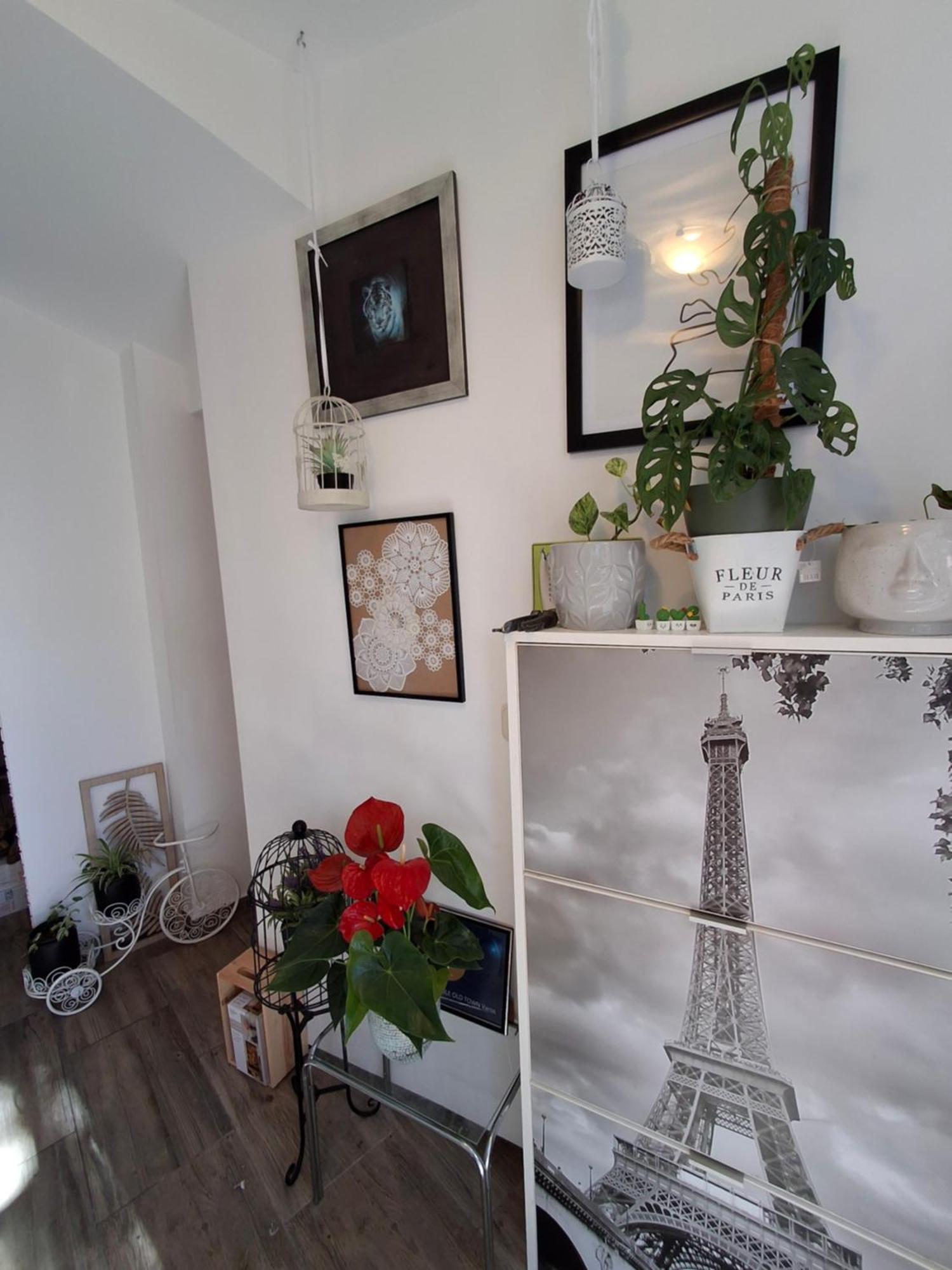 Apartamento Old Town Sole Split Exterior foto